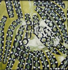 metamorfose-van-metafysica-drie-dubbel-darwin-2